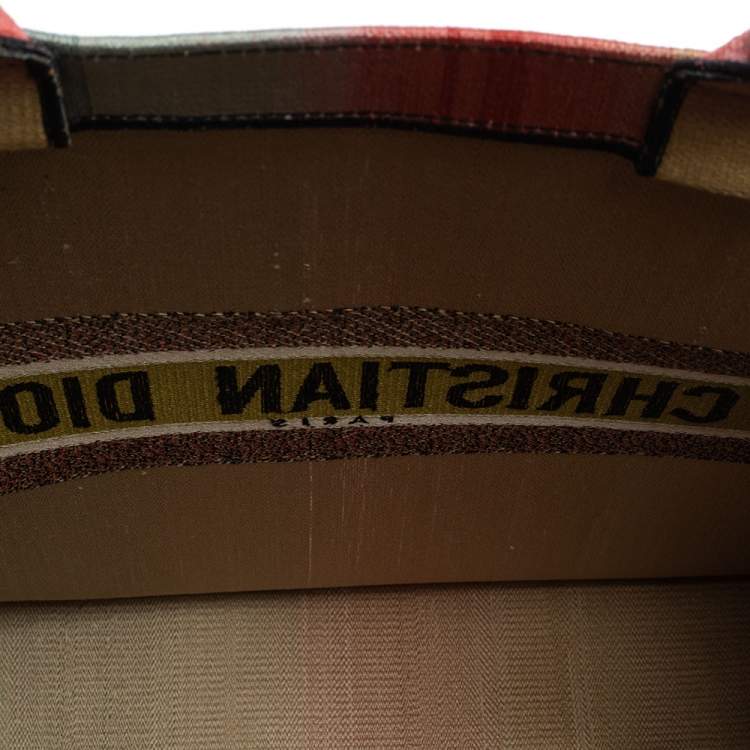 Pre Owned Dior Multicolor Dioraura Canvas Book Tote