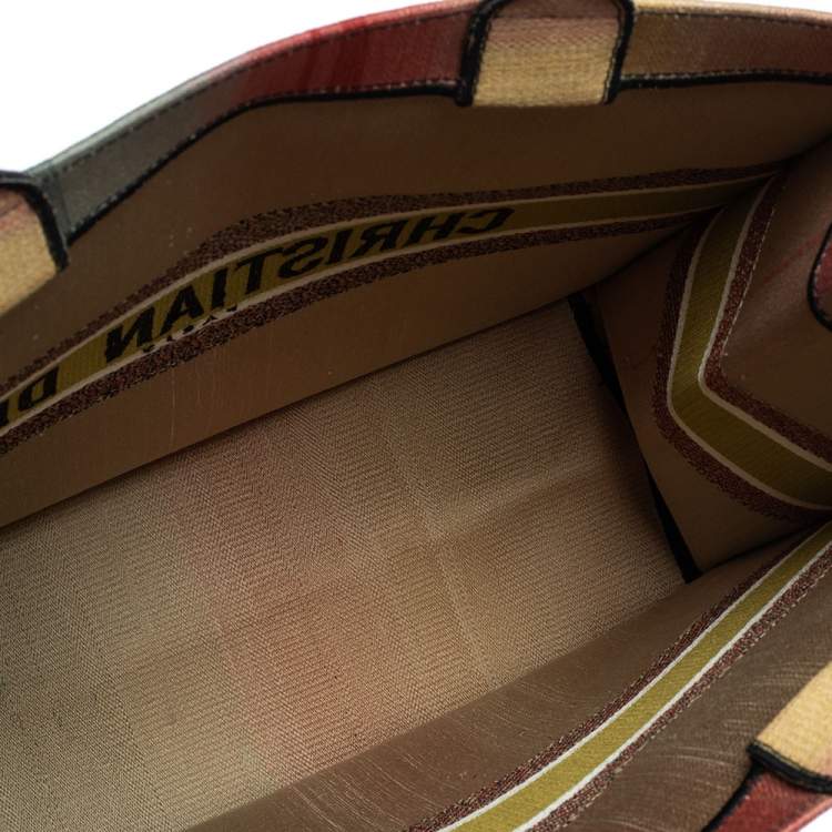 Pre Owned Dior Multicolor Dioraura Canvas Book Tote