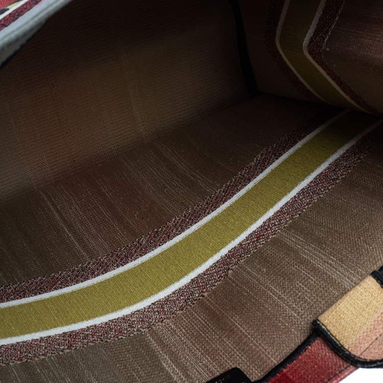 Pre Owned Dior Multicolor Dioraura Canvas Book Tote