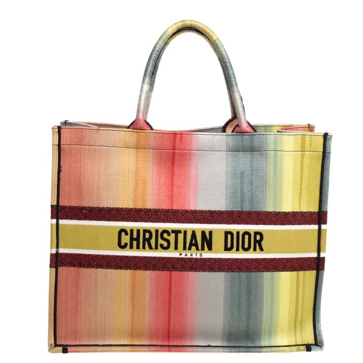 Dior Multicolor Dioraura Canvas Book Tote Dior TLC UAE