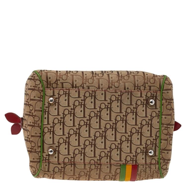 Pre Owned Dior Mulitcolor Trotter Canvas And Leather Rasta Bowler Bag