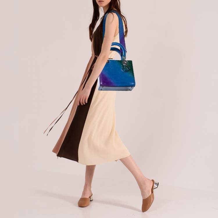 Pre Owned Dior Ombre Multicolor Leather Medium Lady Dior Tote