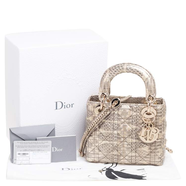 Pre Owned Dior Beige/Gold Python Mini Lady Dior Chain Tote