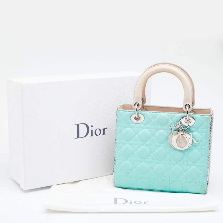 Pre Owned Dior Multicolor Leather And Water Snake Medium Lady Dior Tote