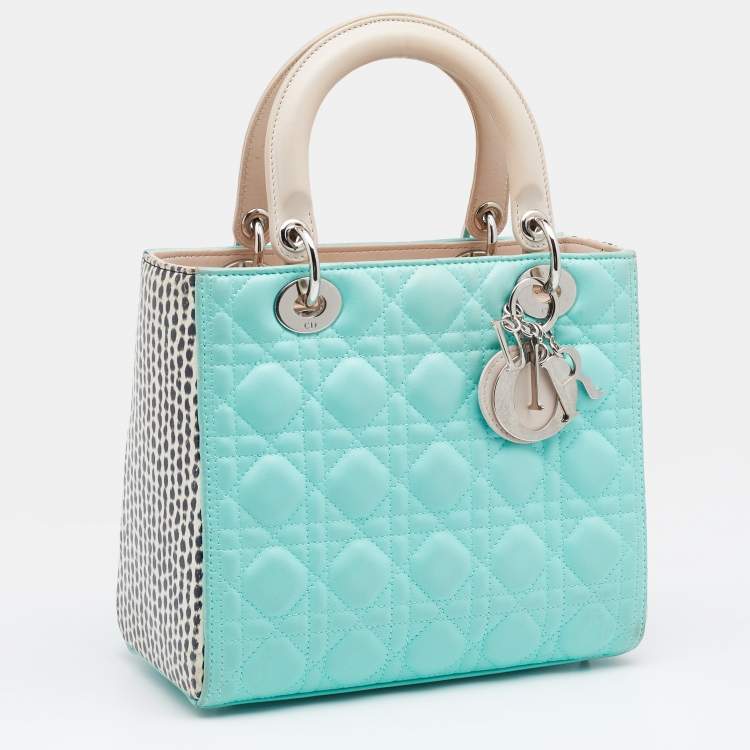 Pre Owned Dior Multicolor Leather And Water Snake Medium Lady Dior Tote