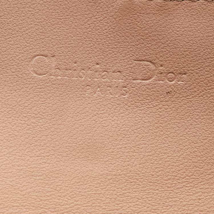 Pre Owned Dior Pink Leather Ultra Matte Nano Saddle Chain Pouch