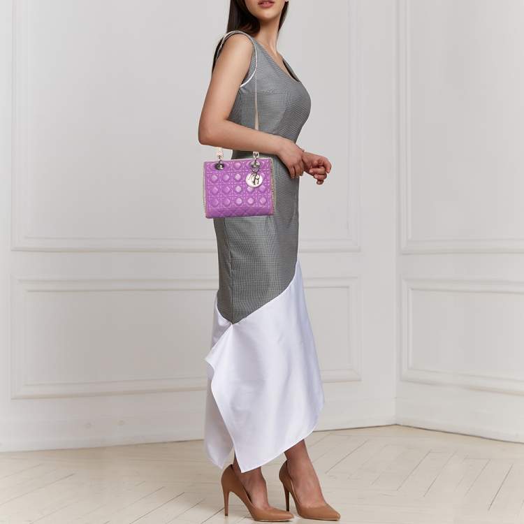 Pre Owned Dior Multicolor Leather And Water Snake Medium Lady Dior Tote