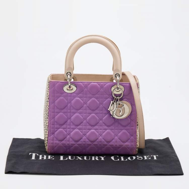 Pre Owned Dior Multicolor Leather And Water Snake Medium Lady Dior Tote