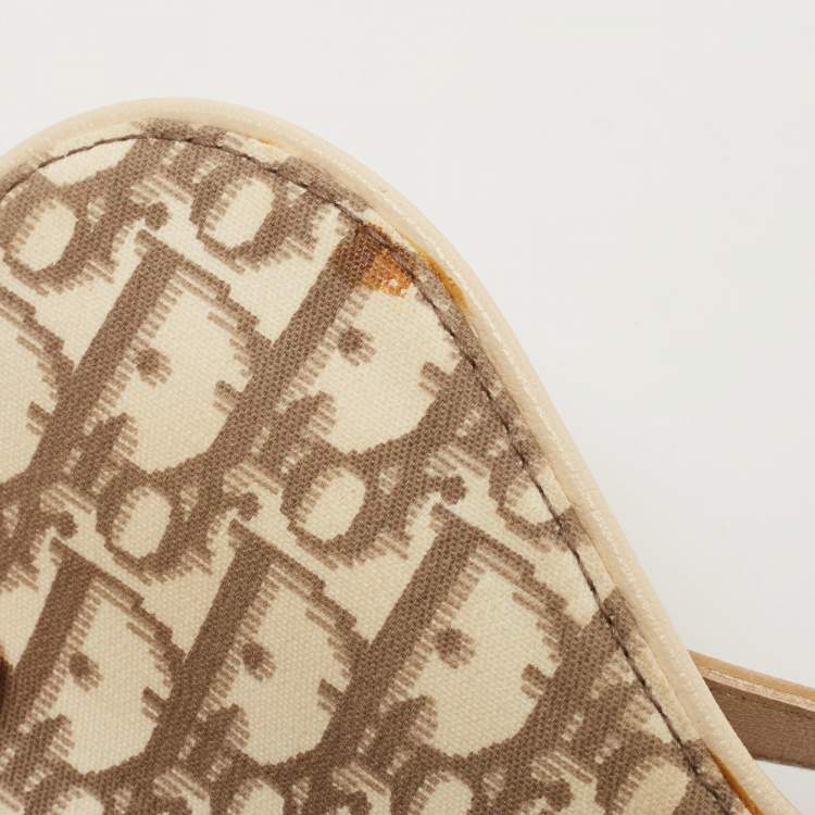 Pre Owned Dior Beige Oblique Canvas and Leather Floral Embroidered Saddle Bag