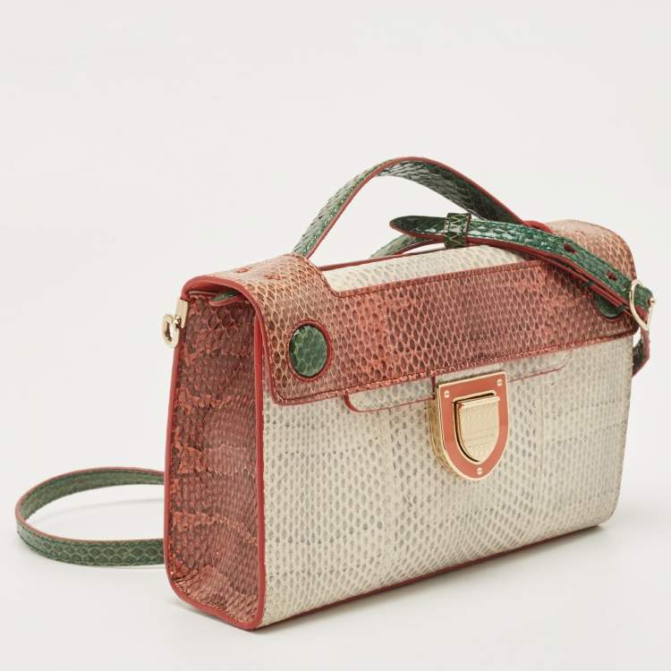 مملوكة مسبقًا Dior Multicolor Watersnake Leather Mini Diorever Top Handle Bag