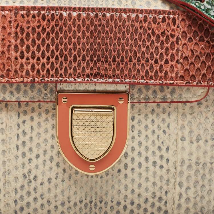 مملوكة مسبقًا Dior Multicolor Watersnake Leather Mini Diorever Top Handle Bag