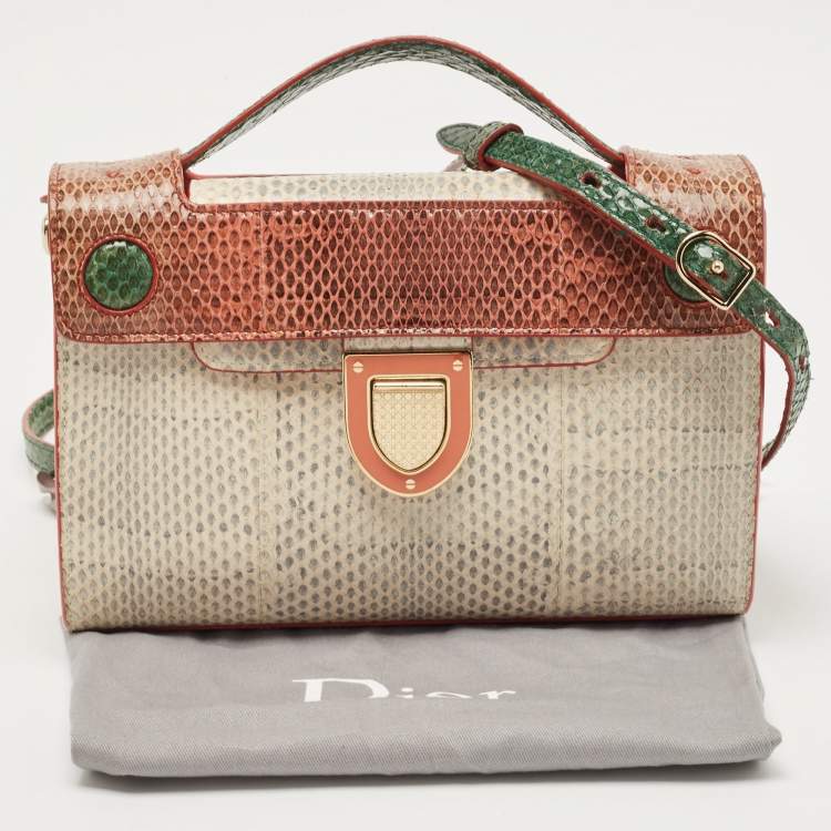 مملوكة مسبقًا Dior Multicolor Watersnake Leather Mini Diorever Top Handle Bag