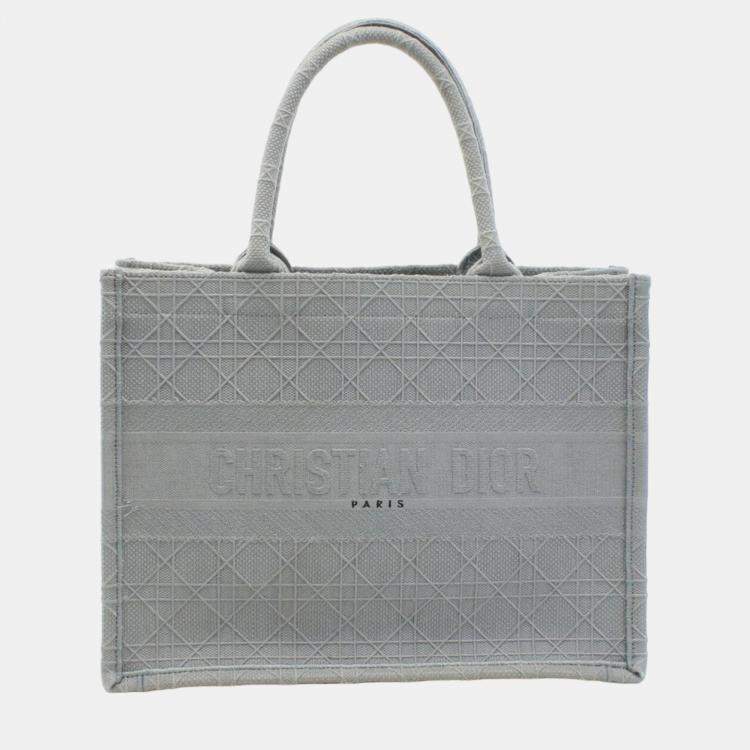 Grey dior 2025 tote bag