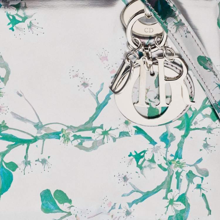 Pre Owned Dior Metallic Silver/Green Printed Leather Medium Lady Dior Tote