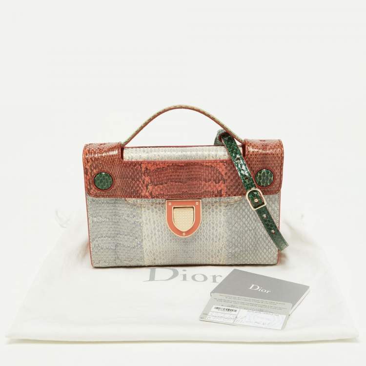 Pre Owned Dior Multicolor Watersnake Leather Mini Diorever Top Handle Bag