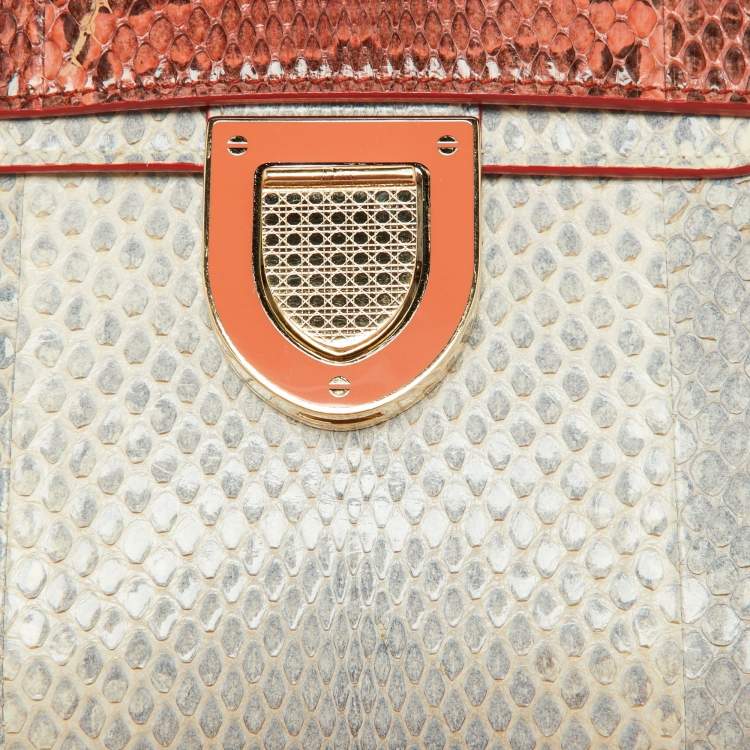 Pre Owned Dior Multicolor Watersnake Leather Mini Diorever Top Handle Bag