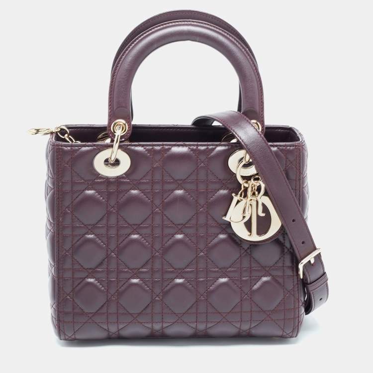 Dior 2025 tote burgundy