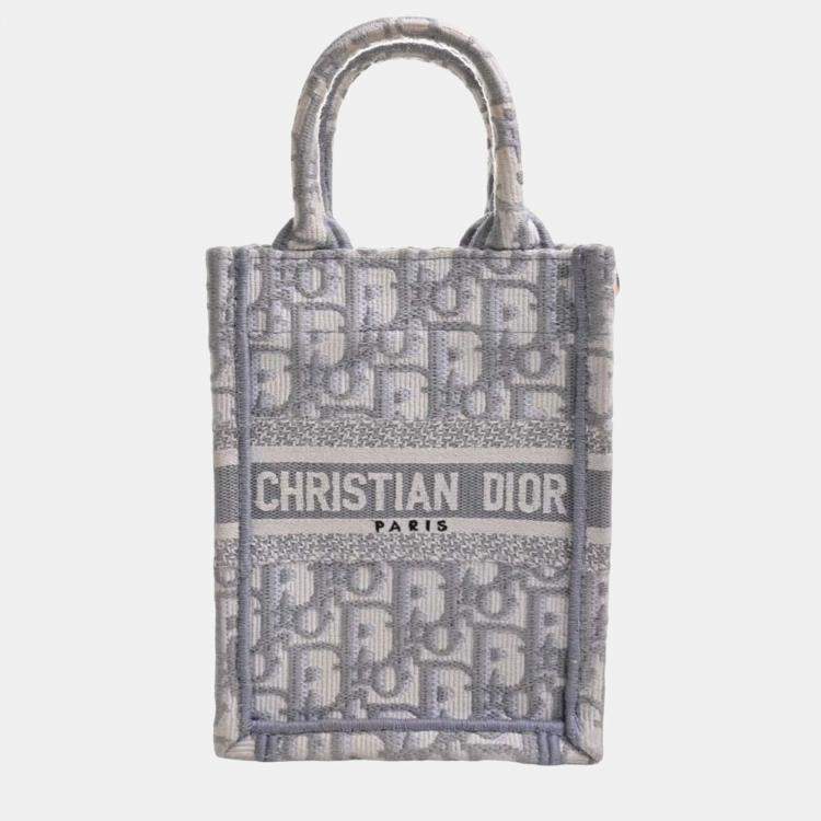 Christian dior 2025 grey bag