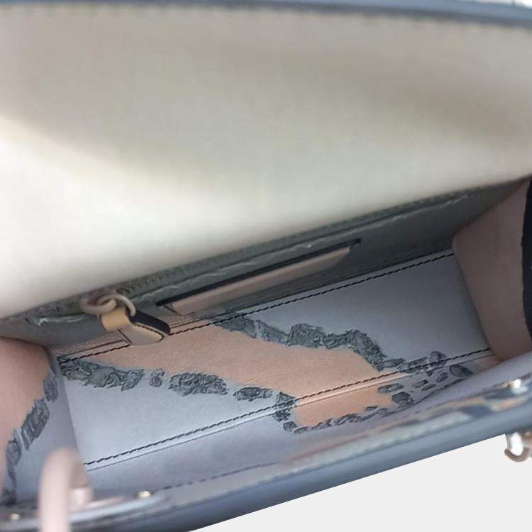 Pre Owned Dior Mulicolor Leather Mini Lady Dior Tote Bag