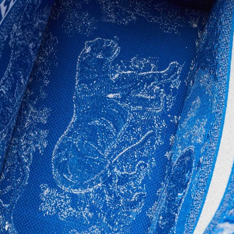 Pre Owned Dior Blue/White Embroidered Canvas Medium Toile de Jouy Book Tote 