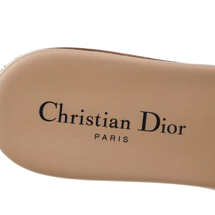 Pre Owned Dior Beige/Blue Canvas Dway Flats Size 38.5