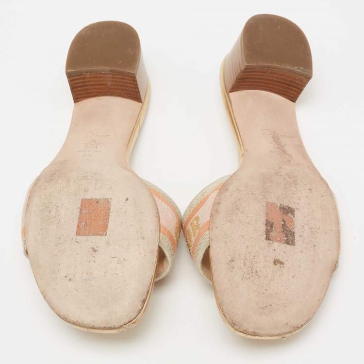 Pre Owned Dior Navy Multicolor Embroidered Canvas D-way Slide Sandals Size 40