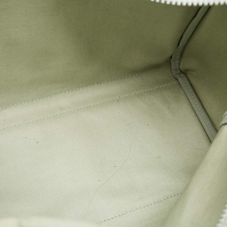 Pre Owned DKNY Mint Green Canvas Medium Noa Tote