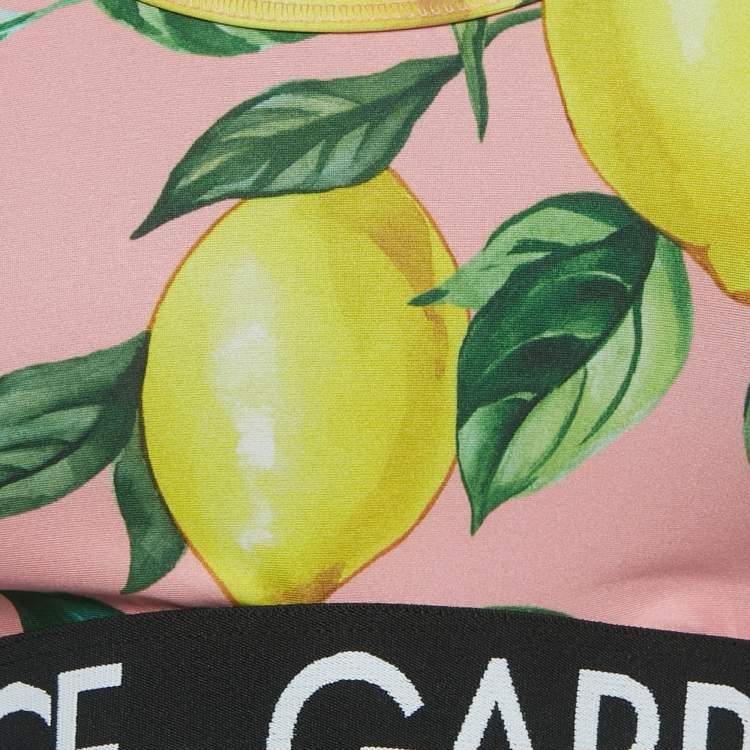 Pre Owned Dolce & Gabbana Exclusive Pink Limoni Fdo Rosa Print Sports Bra M