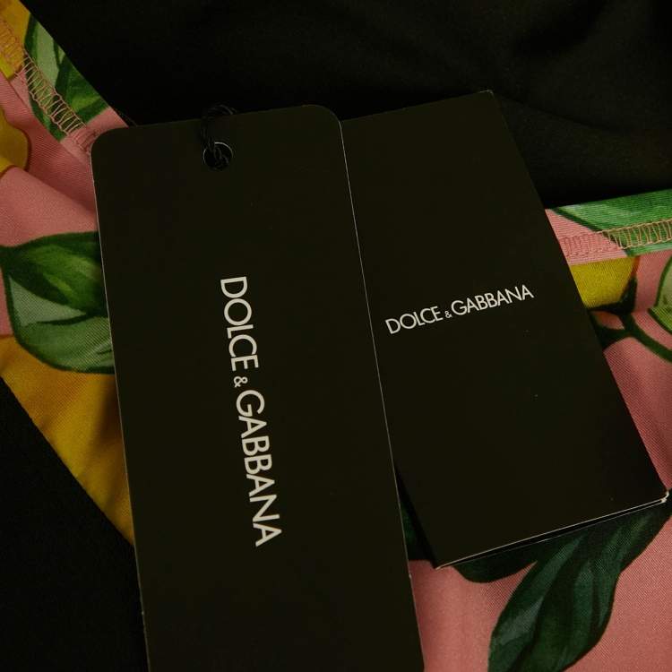 Pre Owned Dolce & Gabbana Exclusive Pink Limoni Fdo Rosa Print Sports Bra M