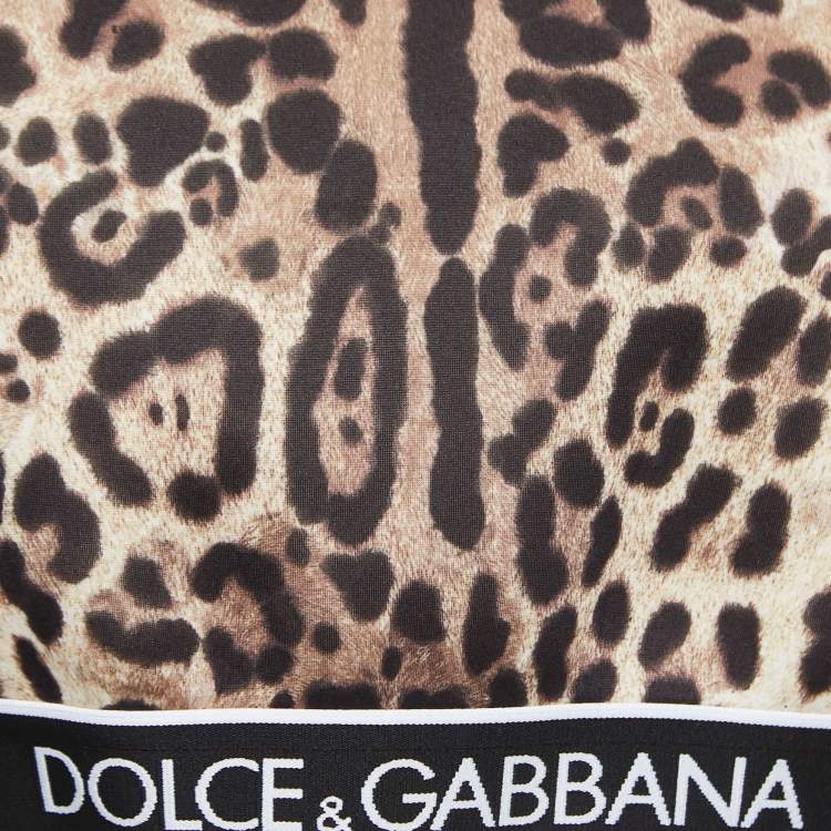 Pre Owned Dolce & Gabbana Brown Leopard Print Neoprene Padded-Shoulder Crop Top M