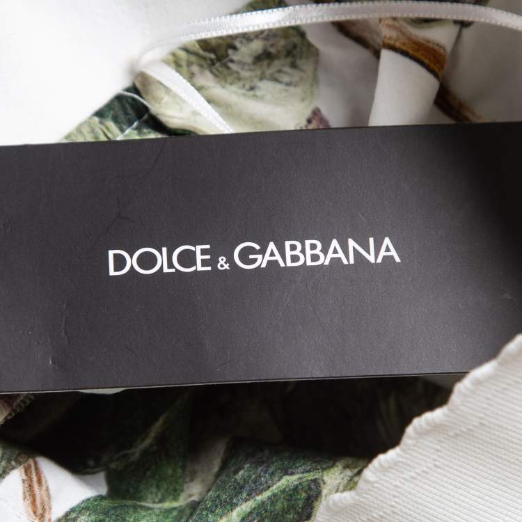 Pre Owned Dolce & Gabbana Green Fig Print Cotton Pleated Detail A-Line Skirt M