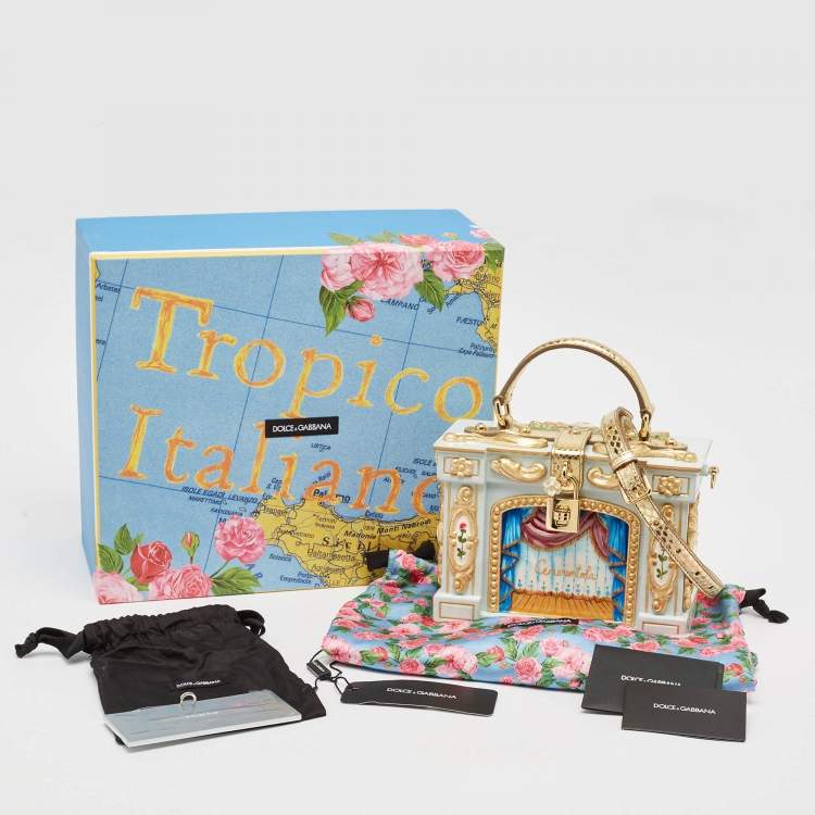 Pre Owned Dolce & Gabbana Gold Acrylic, Wood and Snakeskin Cinderella Dolce Box Top Handle Bag