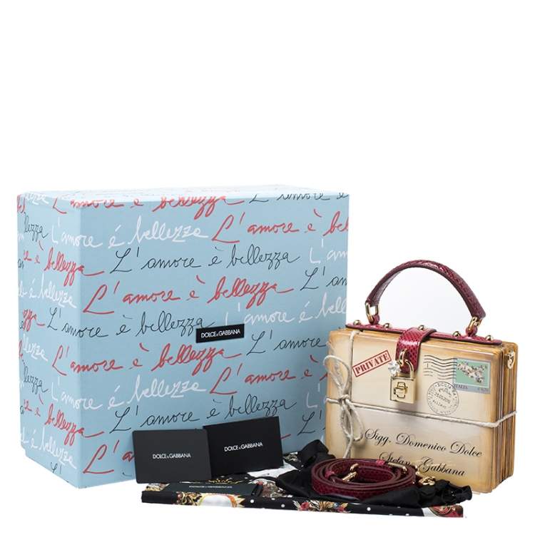 Pre Owned Dolce & Gabbana Multicolor Snakeskin and Plastic Inlaid Wood Top Handle Box Bag