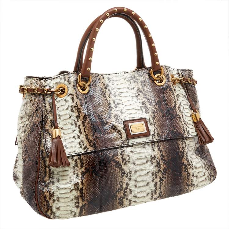 Pre Owned Dolce & Gabbana Brown Python and Leather Tote