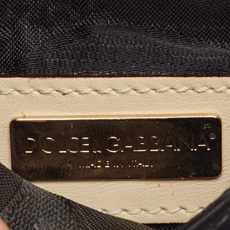 Pre Owned Dolce & Gabbana Beige/Black Python and Satin Chain Coin Purse