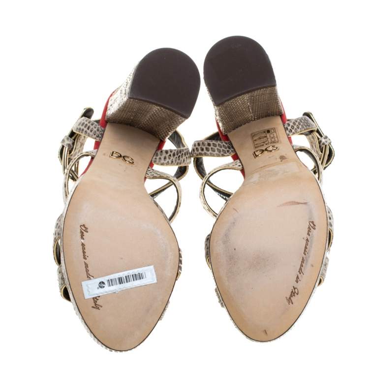 Pre Owned Dolce & Gabbana Beige Snakesking DG Logo Platfom Sandals Size 36
