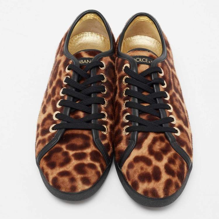 مملوكة مسبقًا Dolce & Gabbana Brown Leopard Print Calf Hair Sneakers Size 39