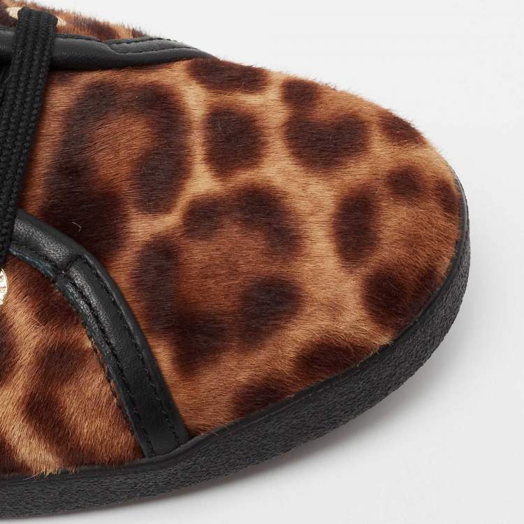 مملوكة مسبقًا Dolce & Gabbana Brown Leopard Print Calf Hair Sneakers Size 39