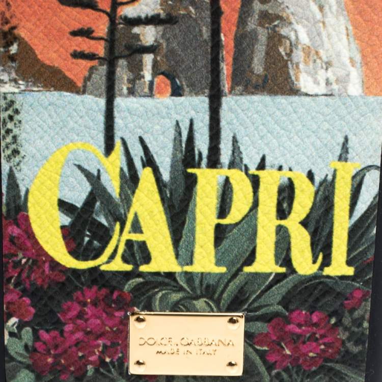 Pre Owned Dolce & Gabbana Multicolor Capri Print Leather iPhone 6 Case