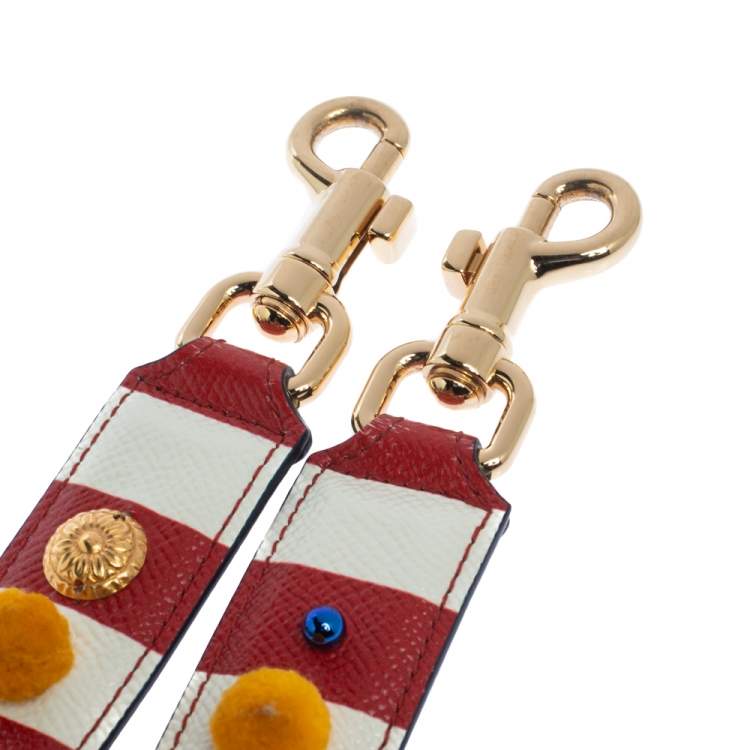 Pre Owned Dolce and Gabbana Multicolor Stripe Leather Embellished Bag Strap