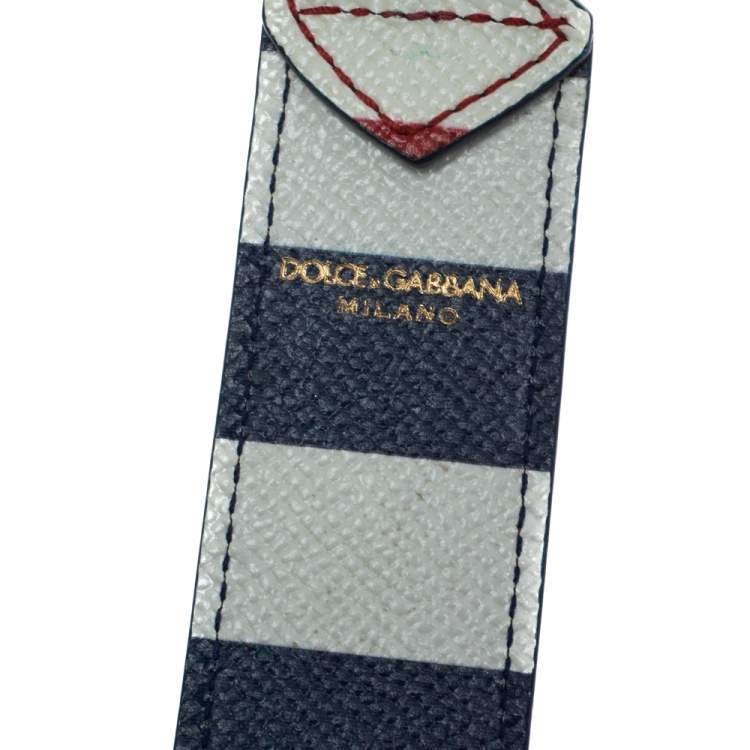 Pre Owned Dolce and Gabbana Multicolor Stripe Leather Embellished Bag Strap