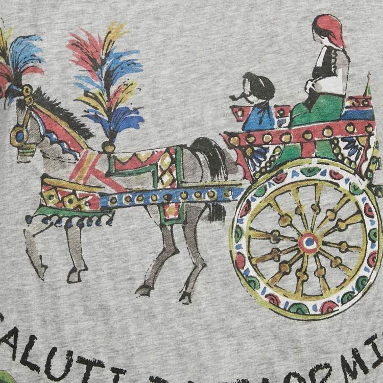 Pre Owned Dolce & Gabbana Grey Sicilia Print Jersey Crew Neck T-Shirt S