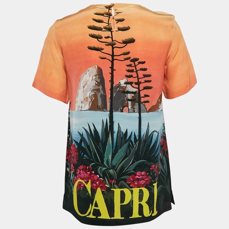 Pre Owned Dolce & Gabbana Multicolor Capri Print Silk Top S