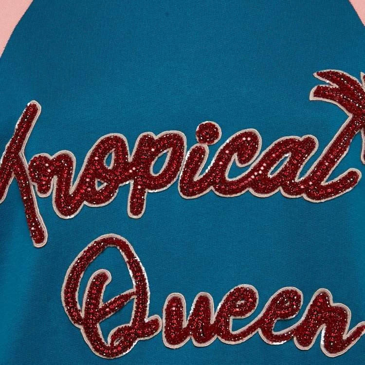 Pre Owned Dolce & Gabbana Blue/Pink Embroidered Cotton Sweatshirt S