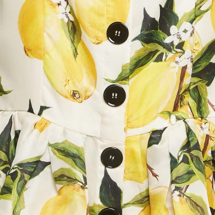 Pre Owned Dolce & Gabbana Yellow Lemon Print Silk Flared Midi Dress L