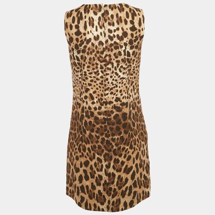 Pre Owned Dolce & Gabbana Brown Leopard Printed Cotton Charmeuse Shift Dress S