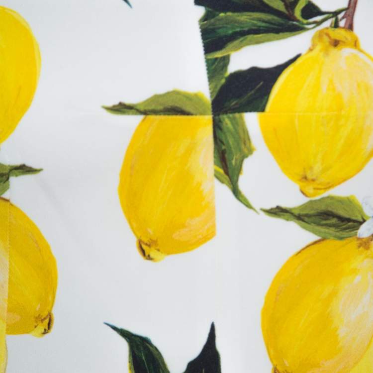 Pre Owned Dolce & Gabbana Lemon Print Sleeveless Midi Sheath Dress S