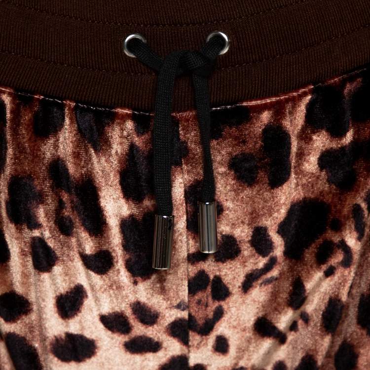 Pre Owned Dolce & Gabbana Brown Leopard Print Velvet Pants And Jacket Set M