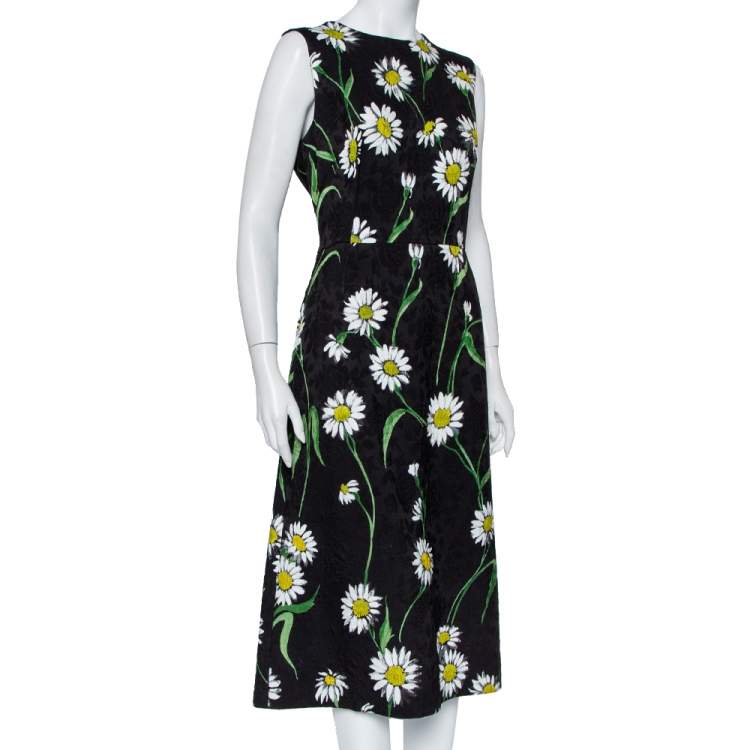 Dolce and gabbana deals daisy dress