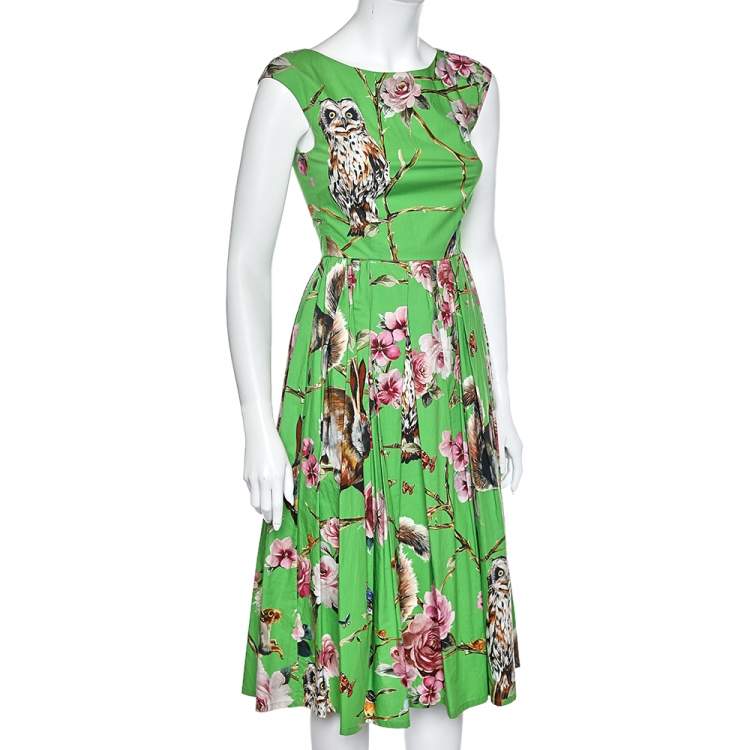Pre Owned Dolce & Gabbana Green Enchanted Forest Printed Cotton Midi Dress XS